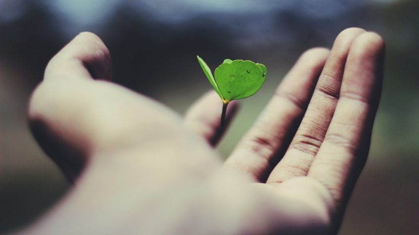 How an accountant supports your business development