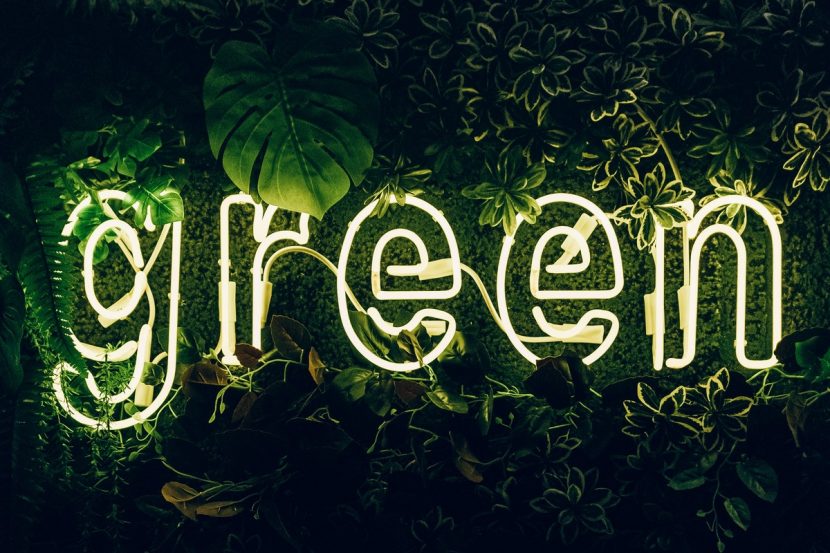 5 quicks wins for a greener business